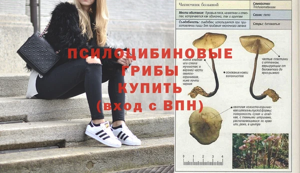 кокаин перу Красноперекопск